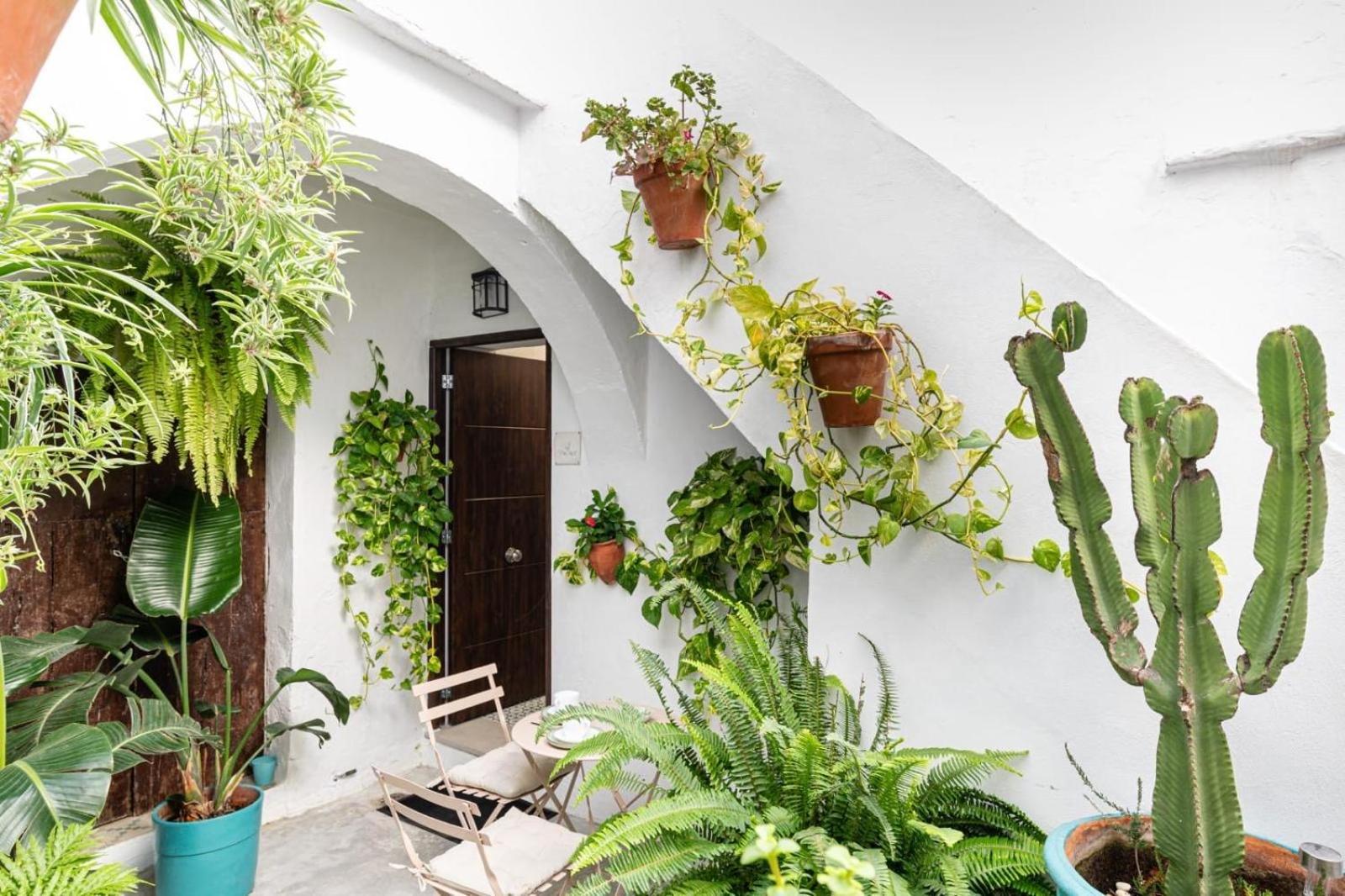 Casa La Fontana 3 Appartement Vejer de la Frontera Buitenkant foto